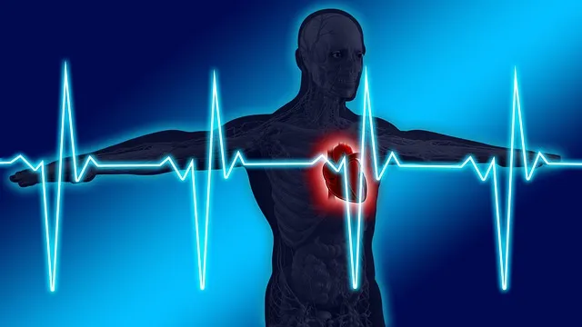 Perder Grasa: ¿Qué es mejor, hacer cardio o pesas?
